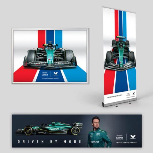 Fernando Alonso F1 Bundle