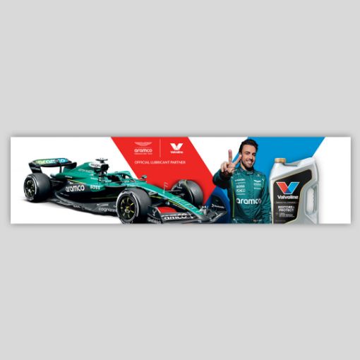 Picture of Fernando Alonso F1 Banner