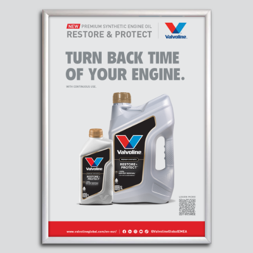 Picture of Poster "Restore & Protect" V